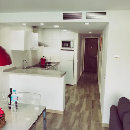 Apartment Puerto Banus Marbella